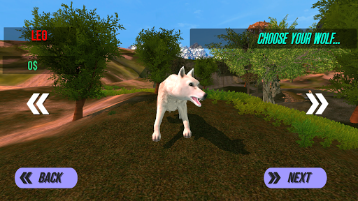 Wolves Attack in Jungle