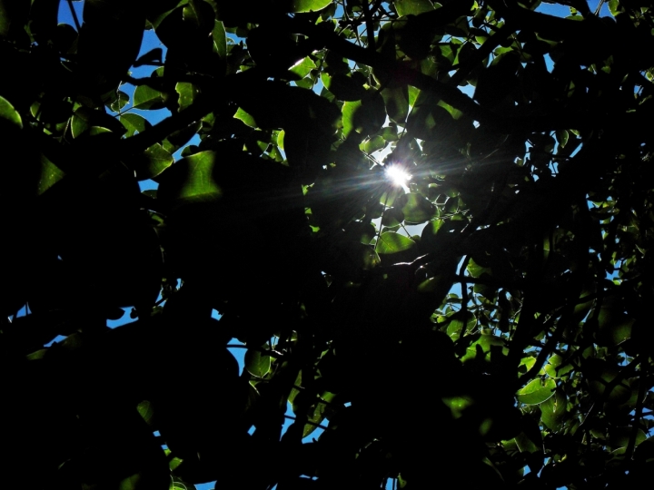 Protezione Solare ... Biodiversa... di mau131070