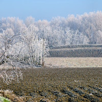 Rugiada nel mondo piccolo di Guareschi di 