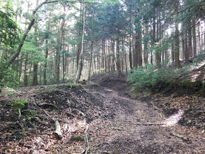 長尾山を左から廻り込む