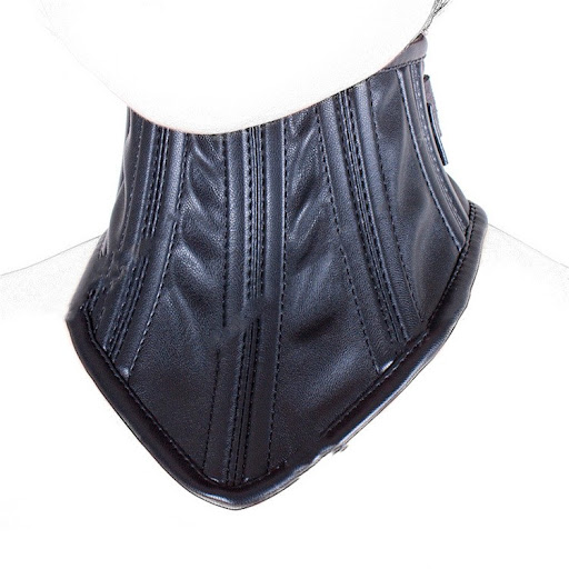 Title 5, Training and Binding Collar Sheaths Protect and...