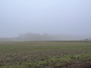 terrain à Villeroy (89)