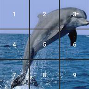 Download Kids Dolphin Slide Puzzle For PC Windows and Mac