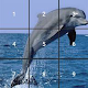 Download Kids Dolphin Slide Puzzle For PC Windows and Mac 1.0