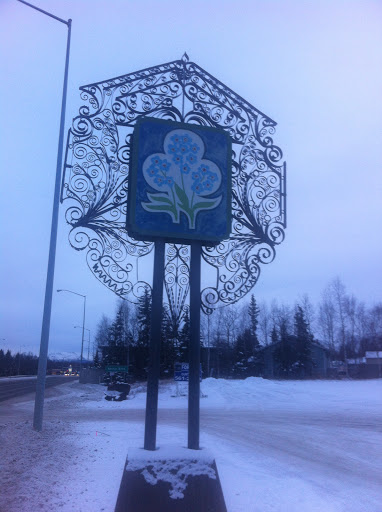 Blue Blooms In Iron Lace