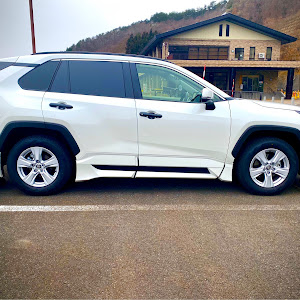 RAV4 ACA31W