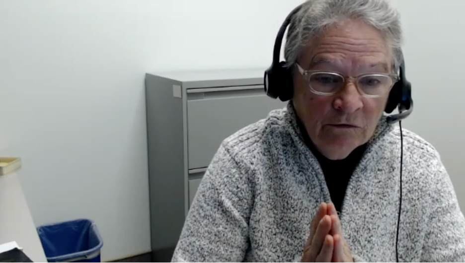 Susan Forbs, adjunct professor of health sciences at Ontario Tech University in an online meeting on Feb. 11.