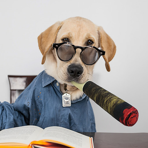 Title 1, Dog toys with jokes prank toys and fake cigaret...