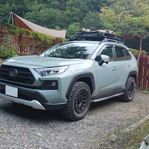 RAV4 MXAA54