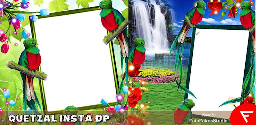 Quetzal Insta Dp Apl Di Google Play