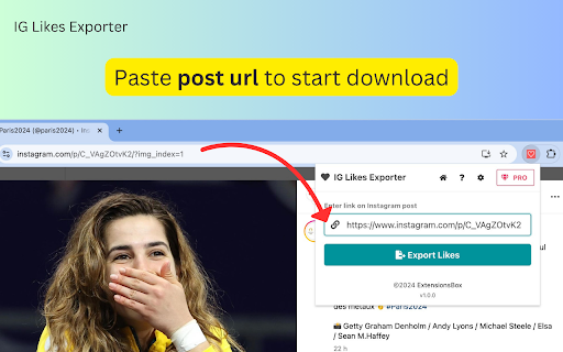 Likes Exporter for Ins