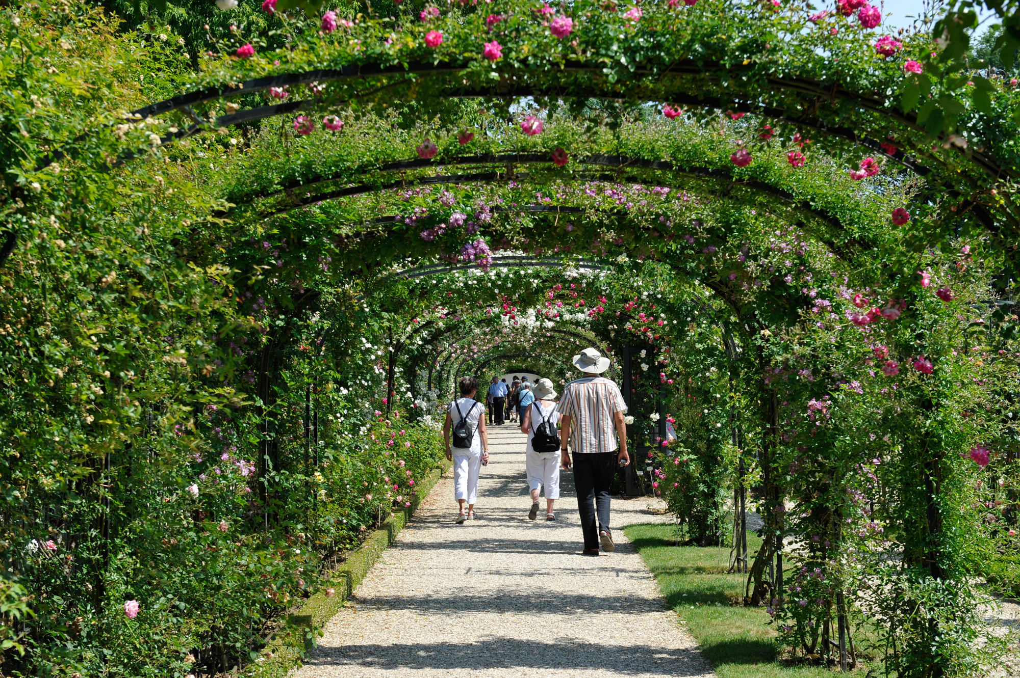 La Roseraie du Val-de-Marne