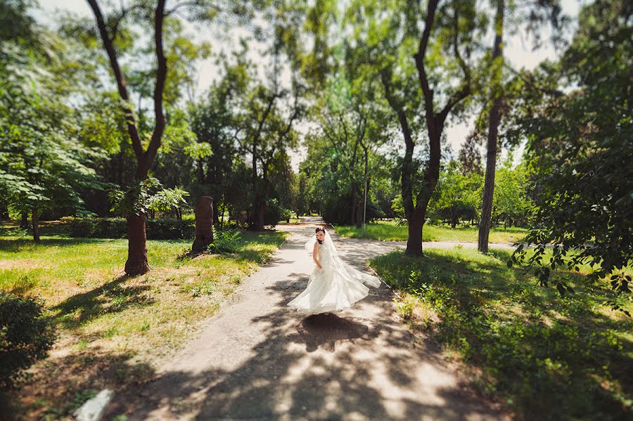 Fotógrafo de casamento Dmitriy Vasilenko (dmvasilenko). Foto de 21 de junho 2015