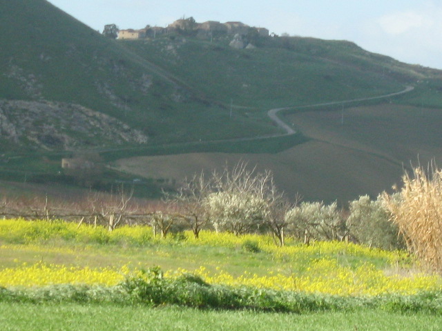 In salita verso il grigio di rosariantonio