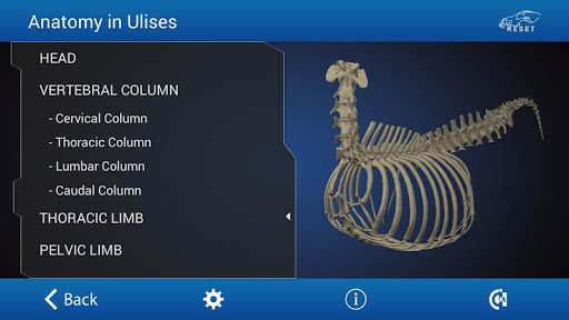 免費下載醫療APP|Osteology in Dogs app開箱文|APP開箱王
