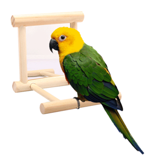Bird Mirror Wooden Interactive Play Toy With Perch For Small Parrot Budgies Parakeet Cockatiel Conure Lovebird Cage Acce