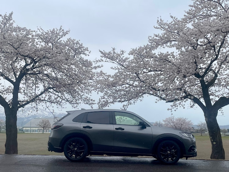 ZR-Vの桜と愛車・サクラと愛車に関するカスタム事例の投稿画像1枚目
