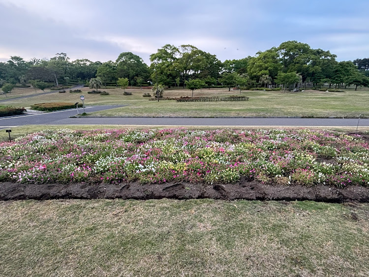 シルビアの九州ドライブ・鹿児島県鹿児島市・海岸展望台・桜島に関するカスタム事例の投稿画像11枚目