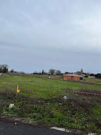 maison neuve à Técou (81)