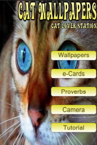 Cat Wallpapers