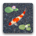 aniPet Koi LiveWallpaper Apk