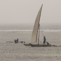 Sotto il diluvio. di 