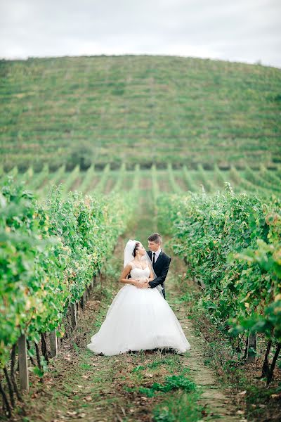 Fotografo di matrimoni George Savka (savka). Foto del 7 novembre 2015