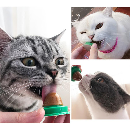 Title 3, Pet Cat Sugar Cat Licking Le Cat Snack Fixed, a...