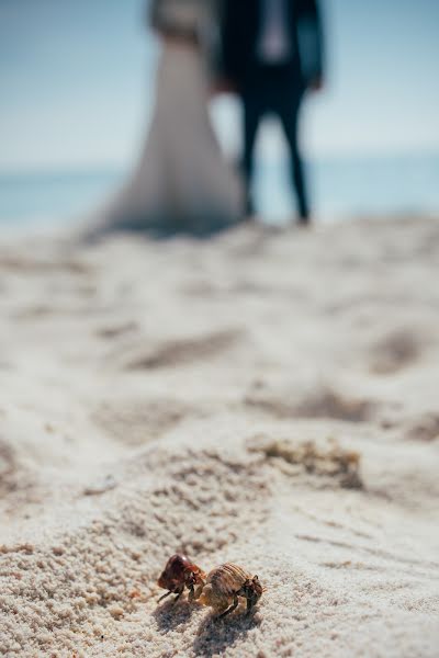 Fotografo di matrimoni Owen Kang (kangowen). Foto del 6 novembre 2018