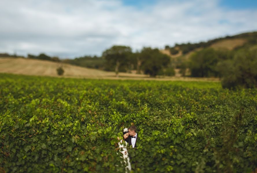 Fotógrafo de bodas Katerina Avramenko (iznanka). Foto del 7 de enero 2014