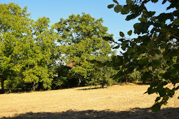 terrain à Saint-Médard-en-Forez (42)