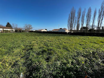 terrain à Montpellier-de-Médillan (17)