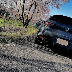 MAZDA3