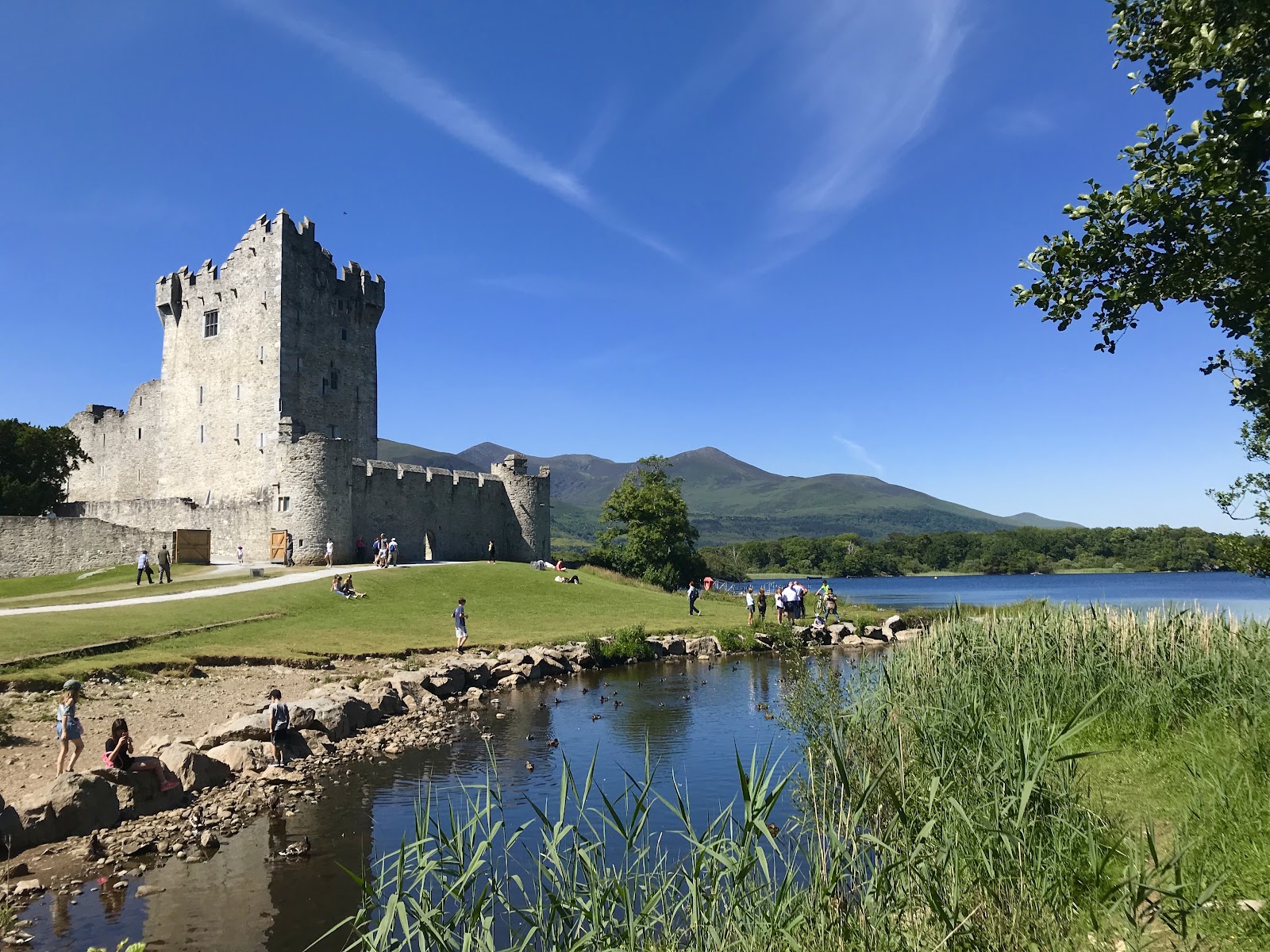 ross castle