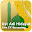 Live TV Ustadz Adi Hidayat Download on Windows
