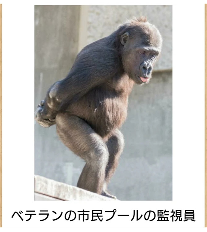 の投稿画像120枚目