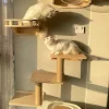 miniatures image - 0
