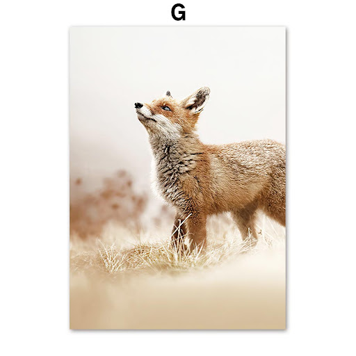 miniatures image - 5