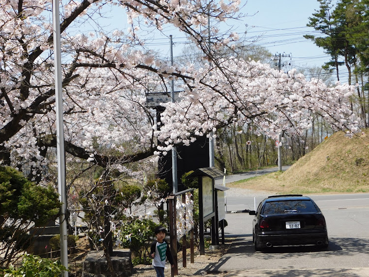 アリストのドライブ・エムズガレージ・桜とコラボに関するカスタム事例の投稿画像6枚目