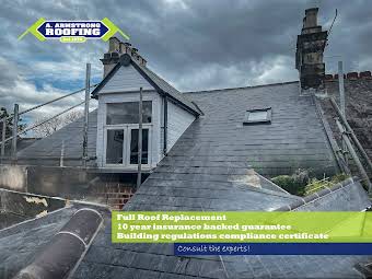 Roof Replacements album cover