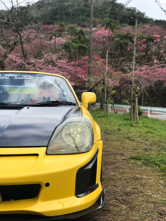 MR-Sの八重岳桜祭り・ドライブ・フォロワーさんと！に関するカスタム事例の投稿画像13枚目