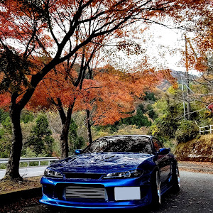 シルビア S15