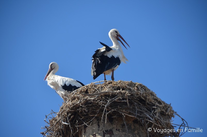 Carrasqueira