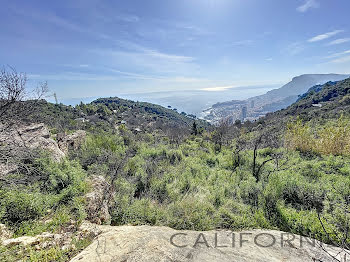 terrain à Roquebrune-Cap-Martin (06)