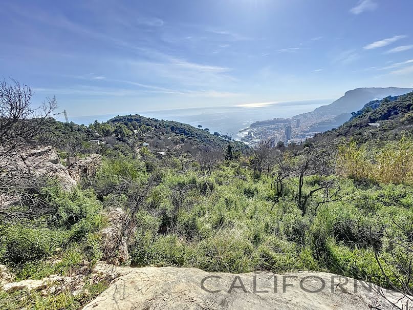 Vente terrain  8127 m² à Roquebrune-Cap-Martin (06190), 217 000 €