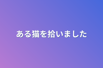 ある猫を拾いました