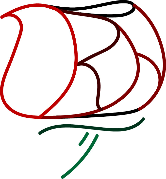 DRH Logo 1.jpg