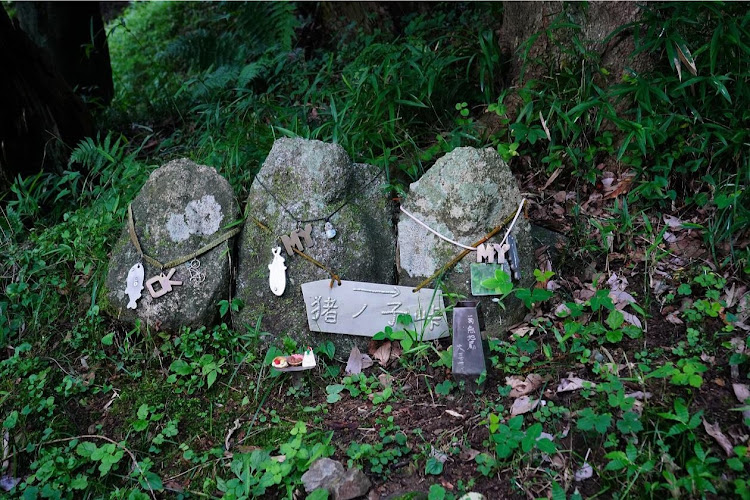 ジムニーシエラの猪子峠・坂井峠・林道に関するカスタム事例の投稿画像6枚目