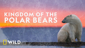 Kingdom of the Polar Bears thumbnail