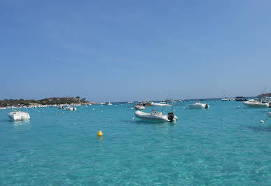 Propriété en bord de mer avec jardin 13